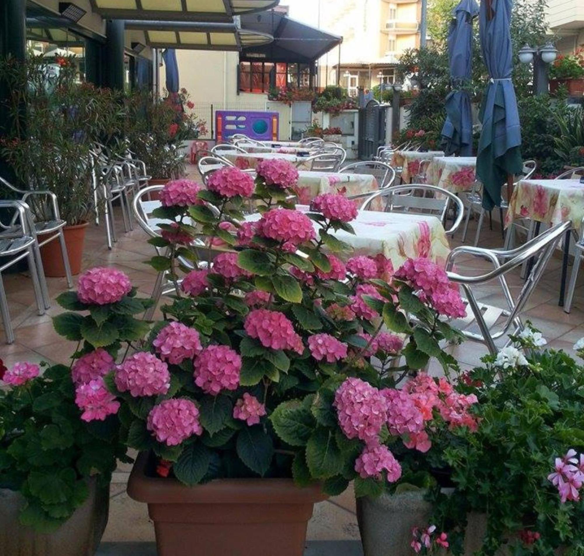 Hotel Caruso Rimini Zewnętrze zdjęcie